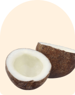 Coconut