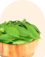 Curry Leaves