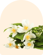 Neroli Essential Oil