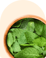 Peppermint