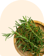 Rosemary Essential Oil
